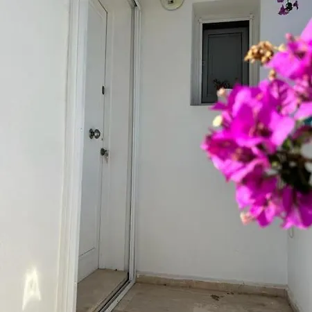 1+1 Flat For Rent In The Center Of شقة